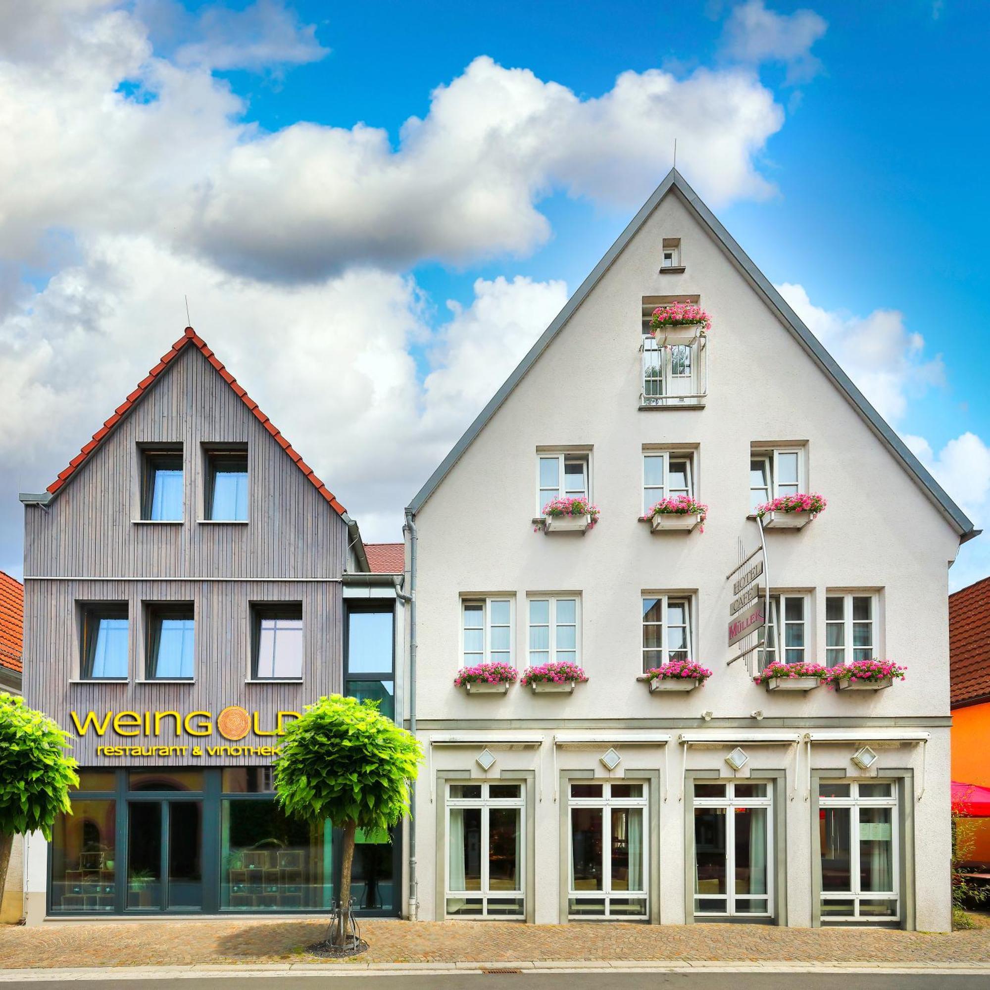Hotel Mueller Cafe & Wein - Mondholzhotel Veitshochheim Luaran gambar